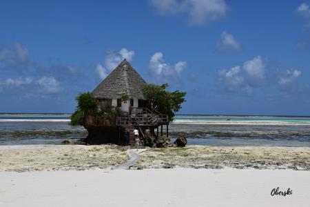 Zanzibar - potopis ŠO